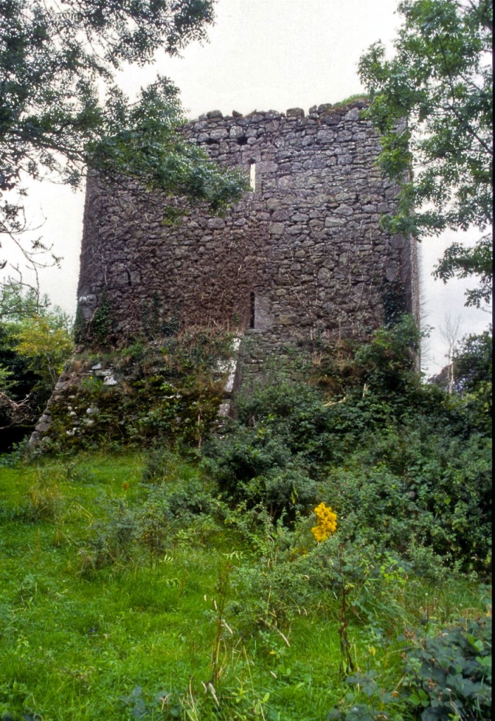 Esker Castle, near Doon, Ireland ©Laurel Kallenbach