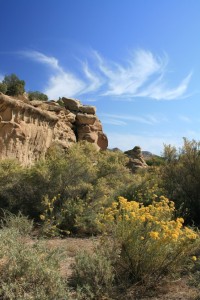ute_rabbitbrush The red rocks and blue skies in the Ute Mountain Ute Tribal Park are spectacular.