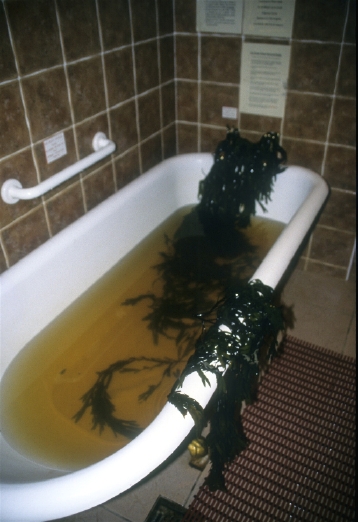 Whole strands of fresh-harvested seaweed from the Irish sea turns bath water a rusty color, but the effects are great for the skin.