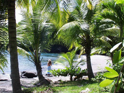 beach on st. vincent in the caribbean The black-sand beach and lush forest of Petit Byahaut solar-powered eco-resort. (photo courtesy Petit Byahaut)