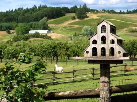 Abbey Road Farm’s birdhouses attract red-wing blackbirds and orioles.