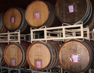 Brick House Vineyard’s wine-aging barrels