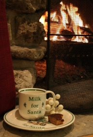 Milk for Santa All ready for Santa