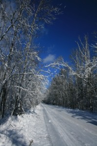 Snowy road in Door County Country roads throughout Door County were so picturesque with their fresh dusting of snow.