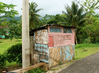 Jerk chicken shack