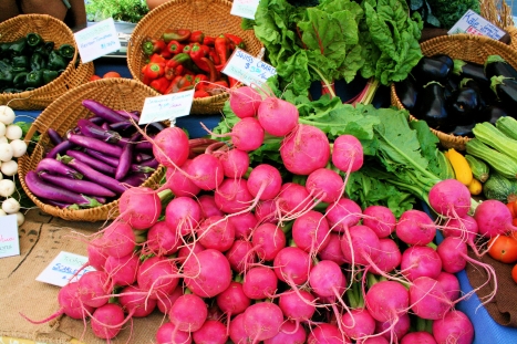 scarlet turnips from Toohey & Sons © Laurel Kallenbach