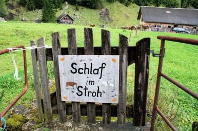 Appenzell Schlaf im Stroh sign. © Laurel Kallenbach