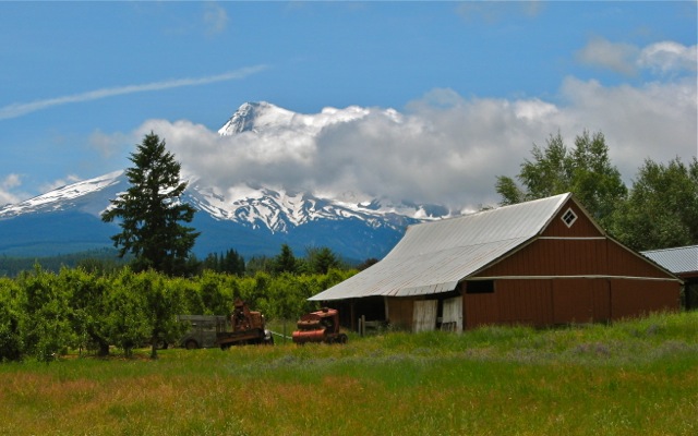 Barn in Parkdale, OR ©Laurel Kallenbach