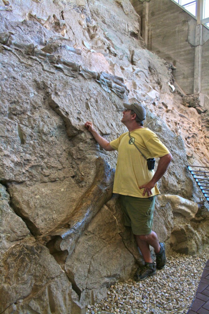 Quarry wall touching area ©Laurel Kallenbach