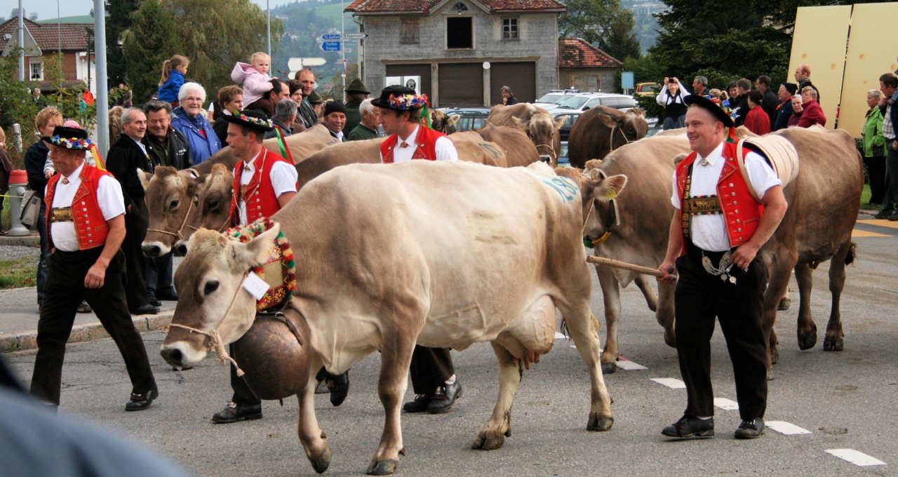 Appenzell cowherds carry traditional carved or painted wooden milk pails over their shoulders. 