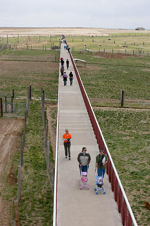The elevated walkway at Wild Animal Sanctuary is a mile long. Photo courtesy TWAS