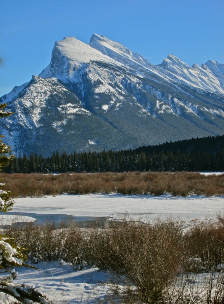 Mt. Rundle, photographed from Vermilion Lakes Road ©Laurel Kallenbach