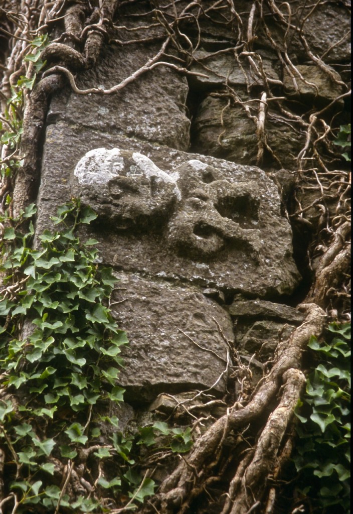 This sheela-na-gig was a cornerstone on Esker Castle, near Doon, Ireland. The sheela-na-gig's right hand passes underneath her right thigh, and her left hand reaches over her left thigh to expose the vulva. Esker Castle, Doon: The sheela-na-gig her right hand passes underneath her right thigh, and her left hand reaches over her left thigh to expose the vulva. ©Laurel Kallenbach