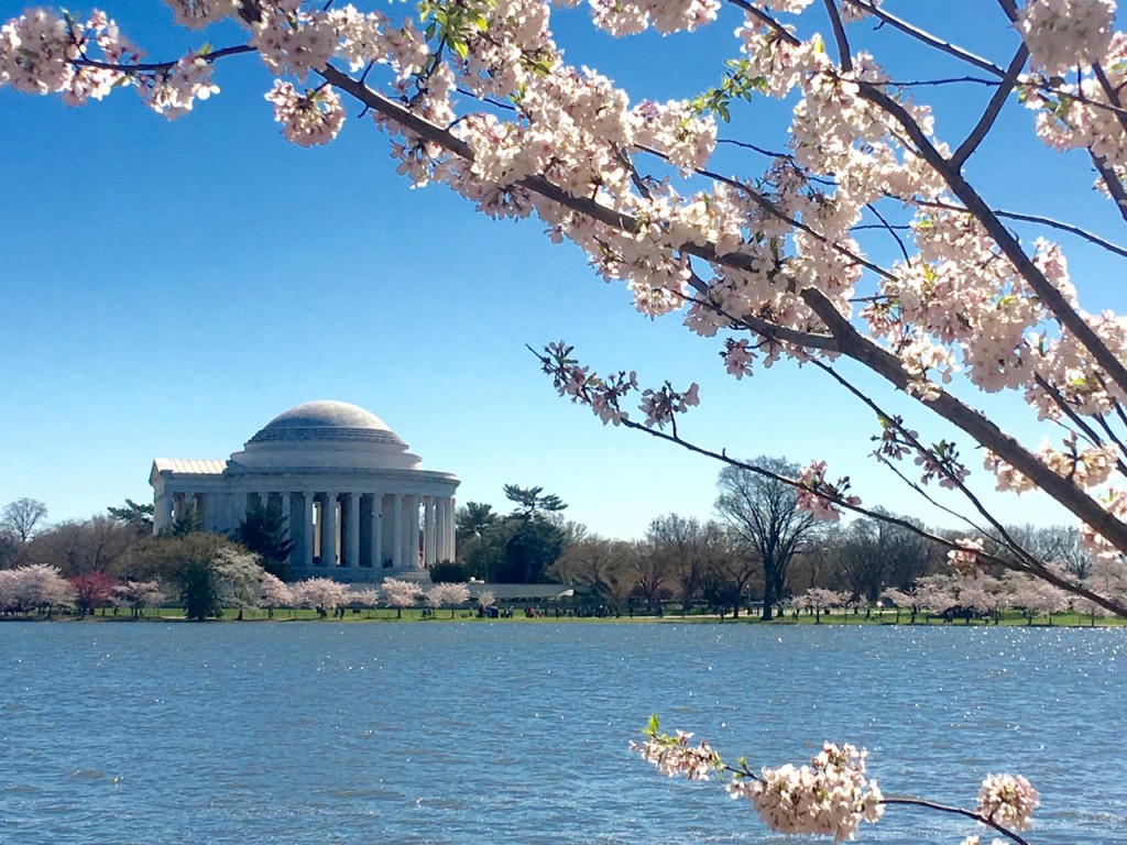 The Jefferson Memorial ©Laurel Kallenbach