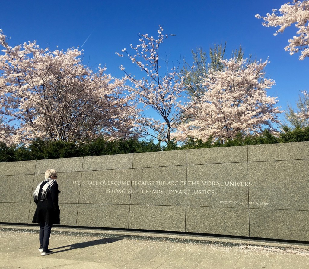 Visitors pored over the quotes from Dr. King's speeches about freedom. ©Laurel Kallenbach