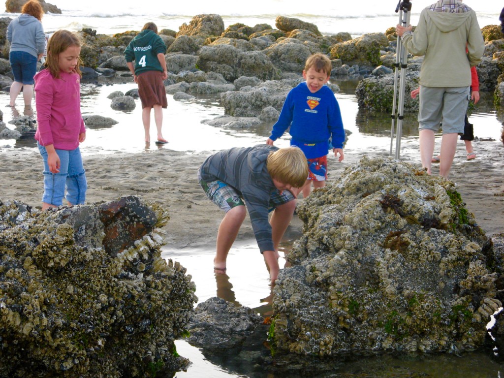 Kids explore the tidal pools around Haystack Rock on Cannon Beach ©Laurel Kallenbach