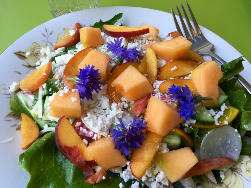 The Summer Fruit Salad with Chèvre at Seeds Library Café ©Laurel Kallenbach 