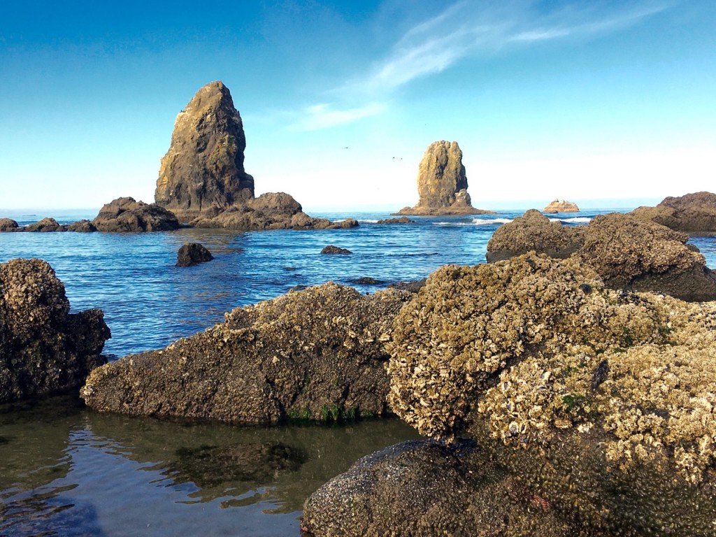 Craggy rocks at Cannon Beach ©Laurel Kallenbach