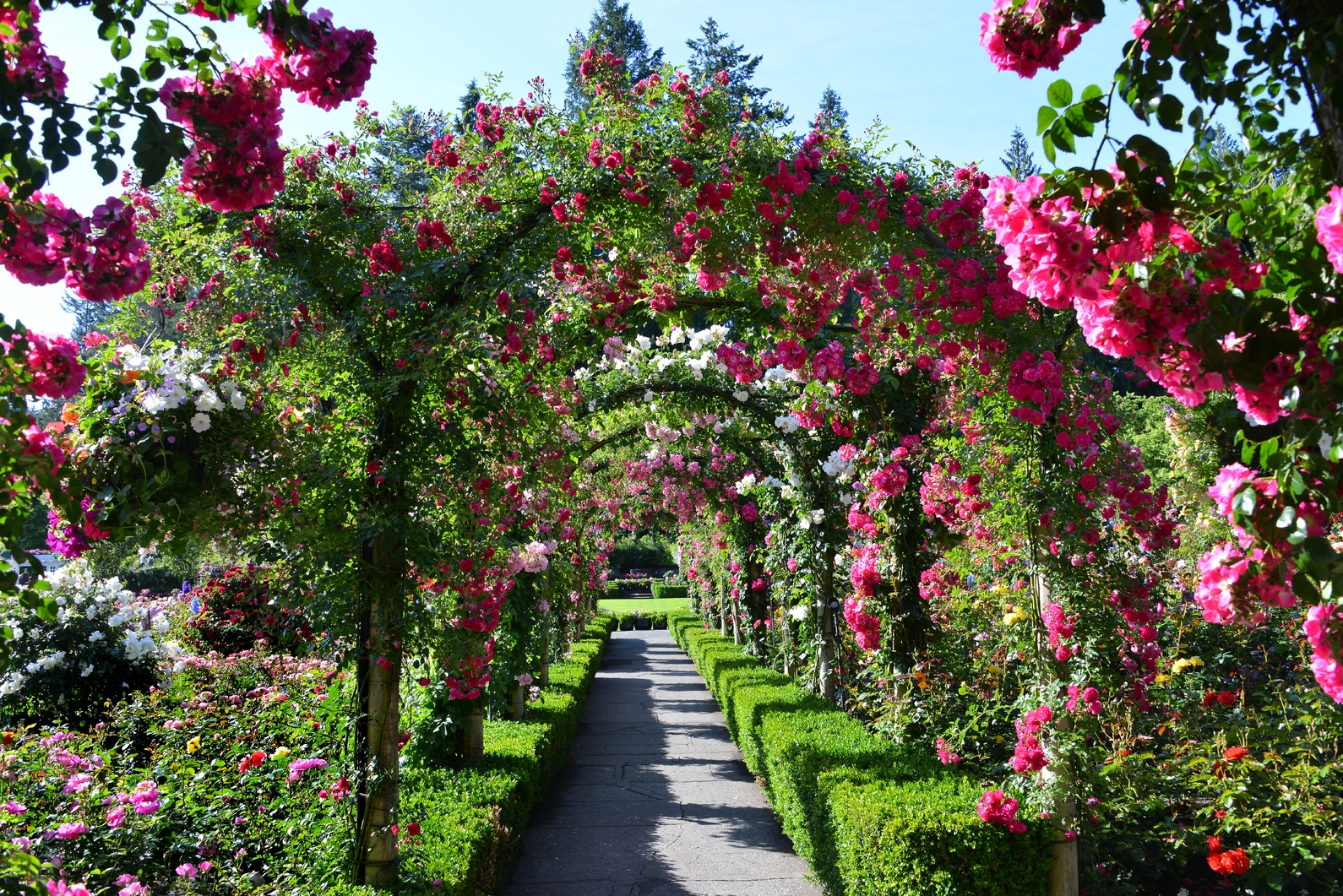 Wish I Were Here: Butchart Gardens, Vancouver Island, BC | Laurel ...
